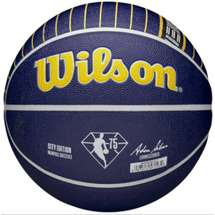 Баскетбольный мяч Wilson NBA Team Memphis (размер 7) WZ4003915XB7
