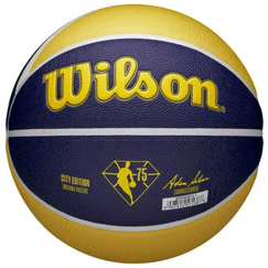 Баскетбольный мяч Wilson NBA Team Pacers (размер 7) WZ4003912XB7