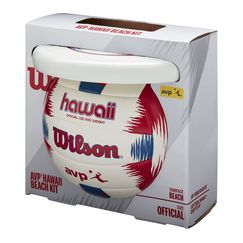 Волейбольный мяч Wilson Endless Summer + Диск (арт. WTH80219KIT)