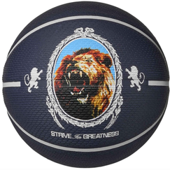 Баскетбольний м'яч Nike James Playground N.100.4372.506.07 (розмір 7)