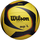 Волейбольний м'яч Wilson AVP ARX Official (професійна модель)