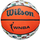 Баскетбольний м'яч Wilson WNBA All Team Outdoor (розмір 6) WTB46001X