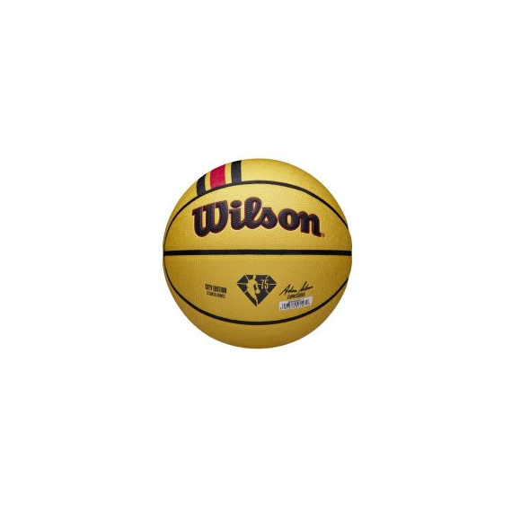 Баскетбольний м'яч Wilson NBA Team City Collector Atlanta Hawks (розмір 7) WZ4003901XB7, изображение 2