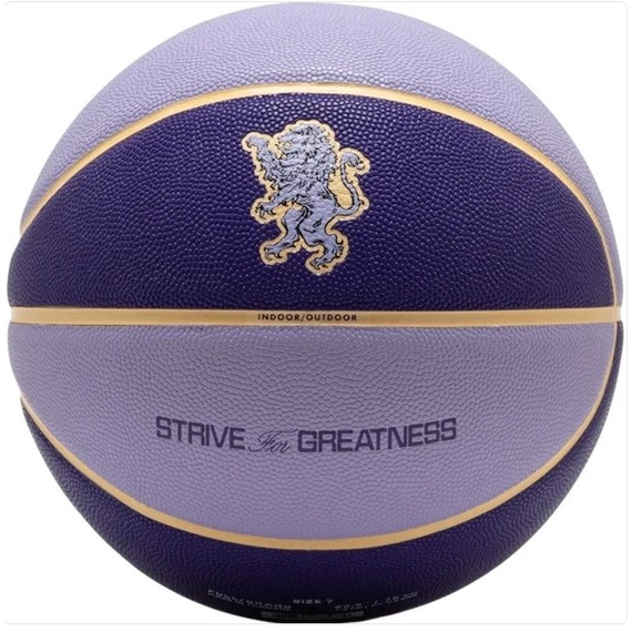 Баскетбольний м'яч Nike All Court 2.0 8P L James Deflated фіолетовий Уні (розмір 7) N.100.4368.509.07, зображення 3