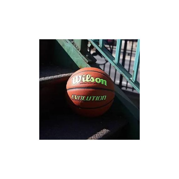 Баскетбольный мяч Wilson Evolution (размер 7) WTB0595XB0703, зображення 3