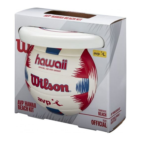Волейбольный мяч Wilson Endless Summer + Диск (арт. WTH80219KIT)