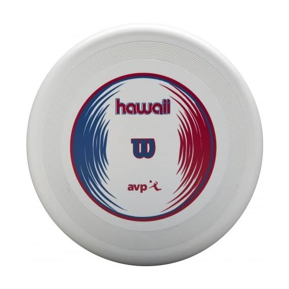 Волейбольный мяч Wilson Endless Summer + Диск (арт. WTH80219KIT), зображення 5