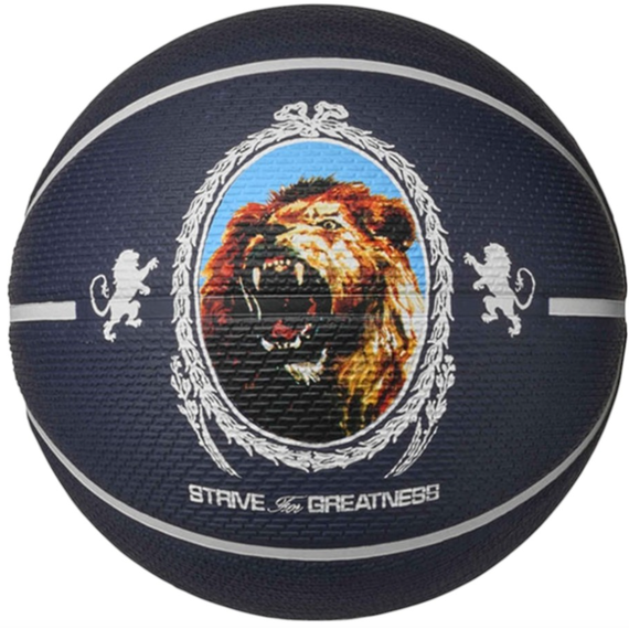 Баскетбольний м'яч Nike James Playground N.100.4372.506.07 (розмір 7)