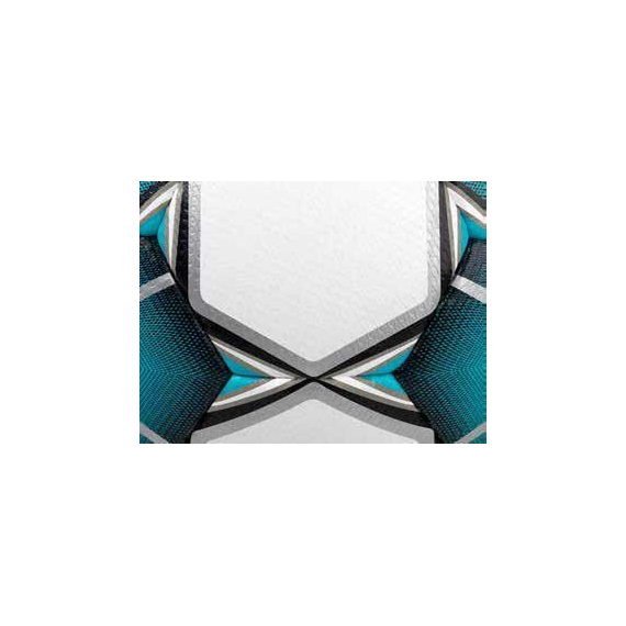 М'яч для футболу Select Royale IMS + подарунок (розмір 4), изображение 2