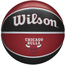 Баскетбольний м'яч Wilson NBA Team Tribute WTB1300XBCHI (розмір 7), изображение 2