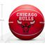 Баскетбольный мяч Wilson NBA Dribbler Chicago Bulls WTB1100PDQCHI (размер1)
