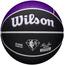 Баскетбольный мяч Wilson NBA Team SAC KINGS (размер 7) WZ4003926XB7